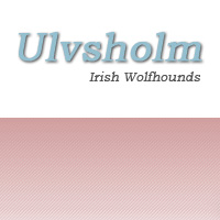 Ulvsholm - Opdr�t af Irsk Ulvehund